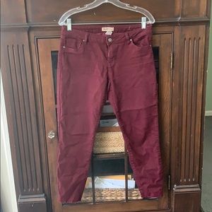 Blue Spice cranberry jeans